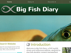 Affordable Web Designer For Plymouth, Devon, UK - Portfolio website screenshot